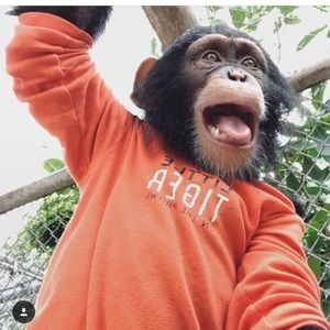 Meet your Posher, Tommy